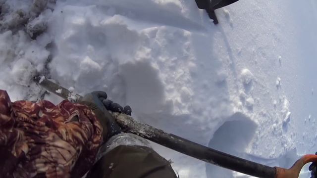 Металлокоп с X-TERRA705 копаю и удивляюсь! смотреть онлайн