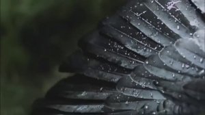 Indila - Mini World (Music Video)