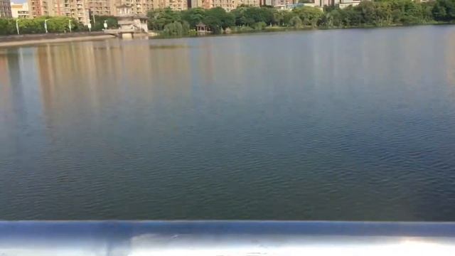Покупать дешевле в Китае VLOG43 / влог 43