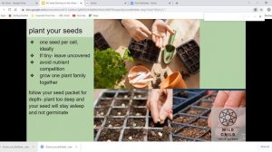 Traditional Seed Starting for the Urban Gardener Part 1