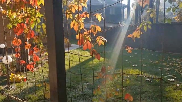 Реализация ландшафтного проекта. смотреть онлайн