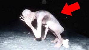 Страшилки и Страшные Видео Для Красавчиков