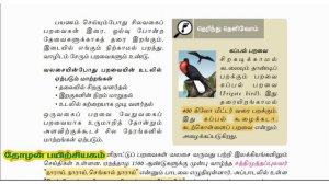 TNPSC 6th New Book SCERT TAMIL 95+ OUT OF 100 தோழன் பயிற்சியகம் PART 4 TNPSC THOZHAN