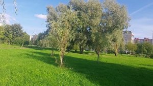 Число души 4 Восходящий лунный узел -Раху