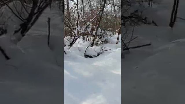 Сказка из снега, пос. Мухен смотреть онлайн