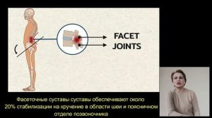 Почему наклон таза вперёд необходимо исправлять.