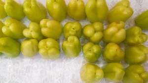 Заготовка Болгарского перца на зиму.mp4