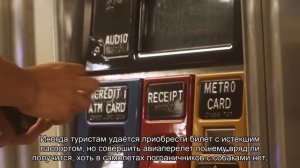 Все о паспорте при покупке авиабилетов за границу: срок действия