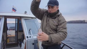 Ловля судака осенью в отвес на самодельную приманку