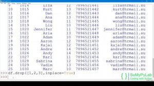 Dropping rows and columns from a pandas DataFrame