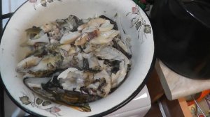 Правильная уха. Самый правильный рецепт настоящей рыбной ухи. Не жидкая. Тройная уха. Уха из петух