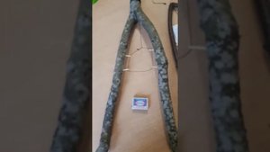 Силок на куропатку