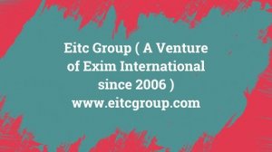 Eitc Group ( A Venture of Exim100% Pure Pashmina Shawls size 140x140cm