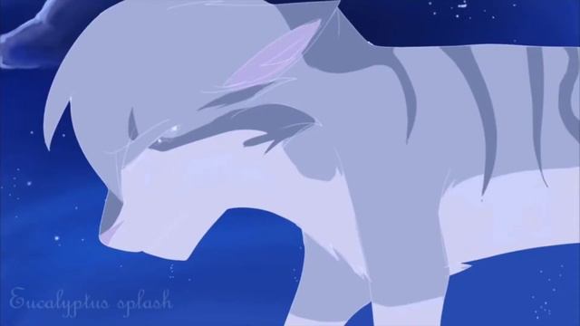 Warrior cats (Клип) (Серебрянка и Крутобок)(Skyper :Come back)(Коты Войтели)