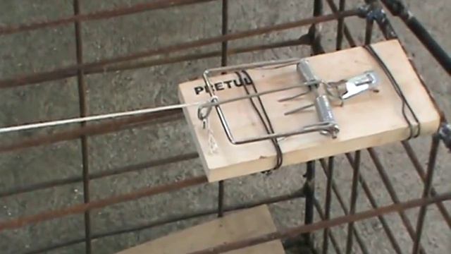 How To Make A Small Animal Trap смотреть онлайн