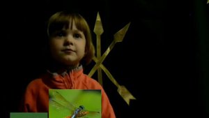 Адыгабзэ/Насекомые на адыгейском языке/Adyghe language