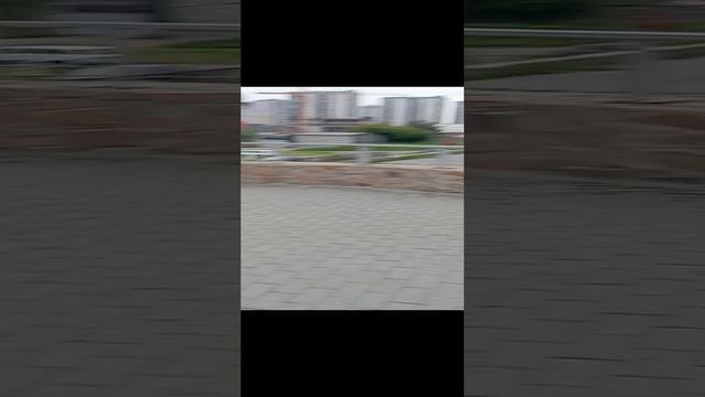 белые медведи и все, все, все Челябинского зоопарка 15.08.2024 #докторндн #пасхальвиварий #челябинск