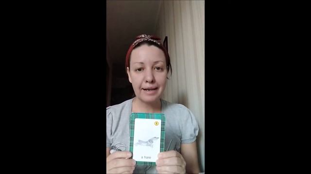 A cat-cats. A dog-dogs. A fox-foxes смотреть онлайн