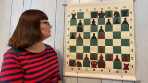 Дебют Сокольского ! Шахматы для начинающих с нуля! интеллектуальная игра шахматы для всех с нуля!