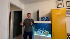 Juwel Bioflow M Filter Review (and why it's complete garbage)