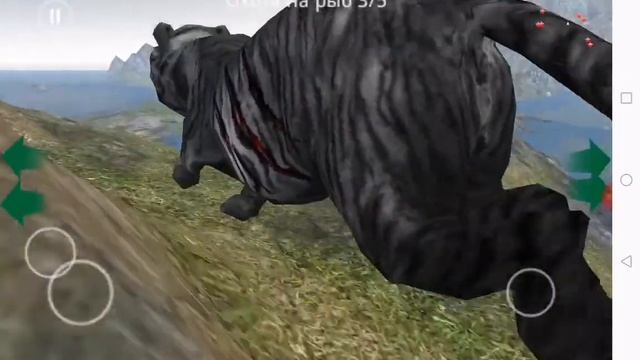 Образ жизни, тигра, чёрный защещает свою, семью и тереторию. смотреть онлайн