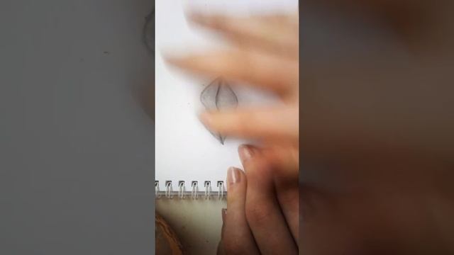 Как красиво нарисовать губы с тенями. смотреть онлайн