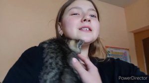 мы купили котёнка,приехали гости 🌈