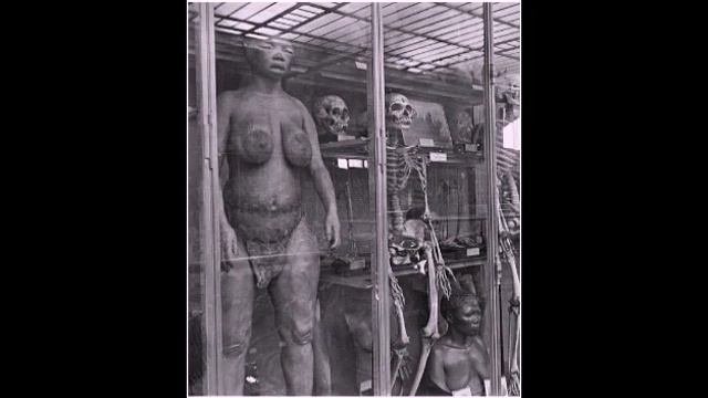 ThestoryBook  BINTI WA KIAFRIKA ALIYECHEZESHWA UCHI JUKWAANI BARANI ULAYA..!  (SARAH BAARTMAN)