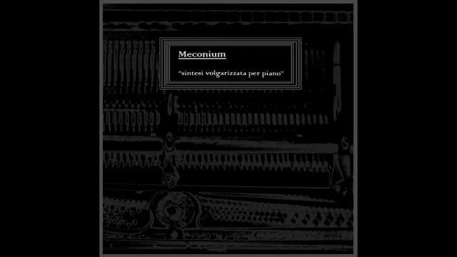 MECONIUM "SINTESI VOLGARE PER PIANO" (musique concrete / avant-garde / electroacoustic music)