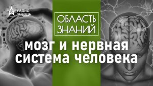 Какие органы чувств человека могут заменить импланты? Лекция биолога Егора Мусина