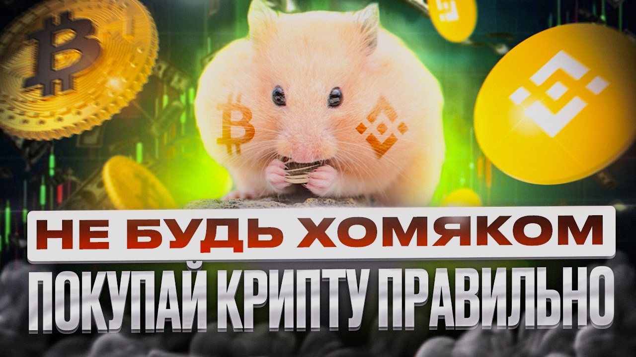 Hamster kombat код 23.06. Хомяк аватарка криптовалюта. Трон Мем криптовалюта. Доход в криптовалюте хомяк. Один миллион фото.