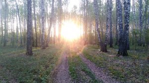 Не рассвет а мечта