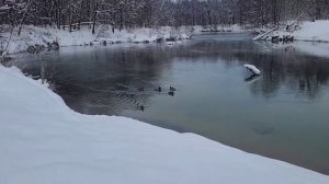 Зимний сплав по р.Илеть на байдарке Алтай-3