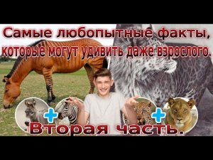 Самые любопытные факты, которые могут удивить даже взрослого.Вторая часть.