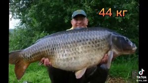 До какого размера растёт рыба