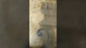 Улитки золотого сечения