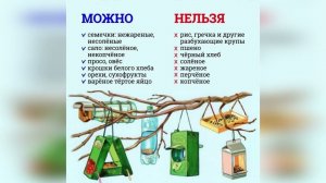 Покормите птиц зимой