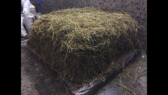 Компост, субстрат для шампиньонов! Готовим строго по рецепту!