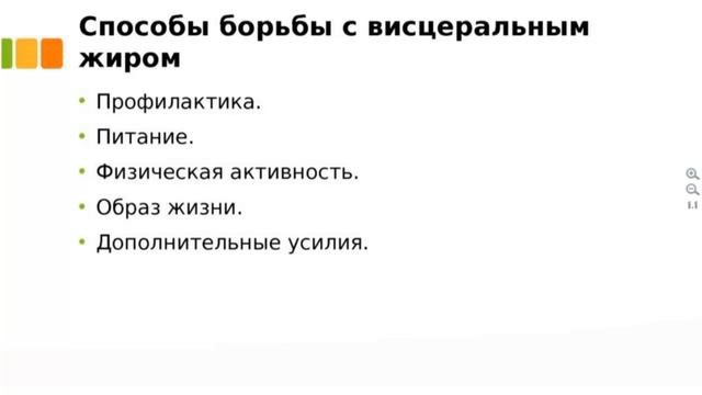 ЧТО ТАКОЕ ВИСЦЕРАЛЬНЫЙ ЖИР?