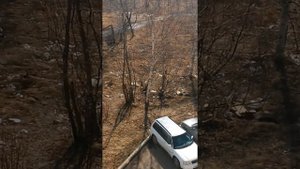 ДОСТОПРИМЕЧАТЕЛЬНОСТИ П, ДУБИНИНО ШАРЫПОВСКОГО Р-НА