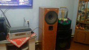 Колонки tqwp на динамиках Ноэма 150 35 8 ом