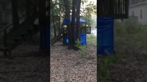 Нигерийская карликовая коза. Мой первый опыт содержания