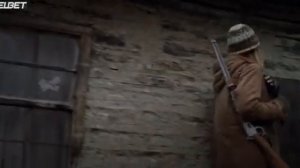 Серенький волчок