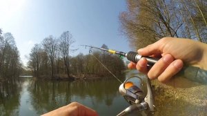 Спиннинг Sportex Black Pearl. Знакомство с брендом. И что может спиннинг.