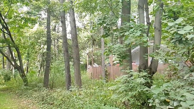 Инвалид приютил сироту, над ним смеялись, но спустя годы увидев парня на дорогой машине около дома смотреть онлайн