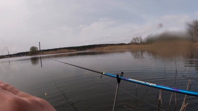 Наловил КАРАСЕЙ в КАМЫШАХ! | Рыбалка на ПОПЛАВОК ВЕСНОЙ смотреть онлайн