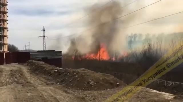 Пал травы Уссурийск смотреть онлайн