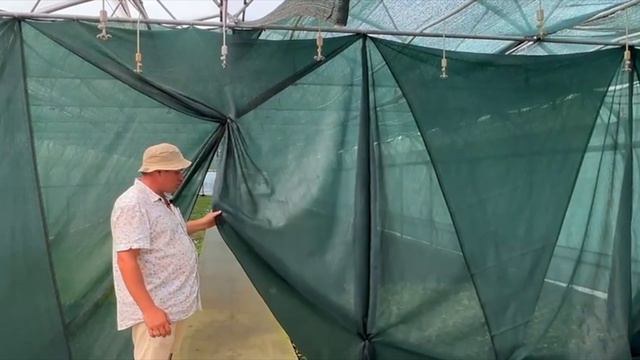 Реалити-шоу «Будни начинающего питомниковода» – Обзор теплиц в питомнике. Часть 15.