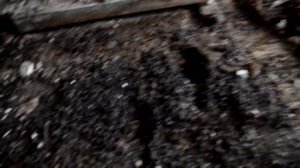 Поиск монет и кладов на чердаках и в заброшенных домах. Покинутый мир.