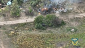 Видео уничтожения десантниками укронацистов с НАТО-вской техникой на Херсонском направлении.MP4